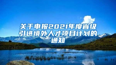 关于申报2021年度省级引进境外人才项目计划的通知