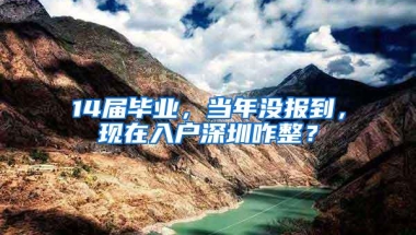 14届毕业，当年没报到，现在入户深圳咋整？