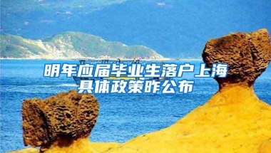 明年应届毕业生落户上海具体政策昨公布