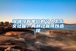 深圳没有单位的个人怎么交社保？两种社保可以选择