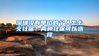 深圳没有单位的个人怎么交社保？两种社保可以选择