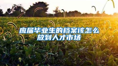 应届毕业生的档案该怎么放到人才市场