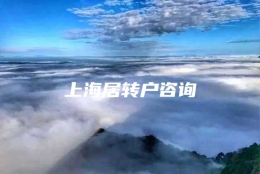 上海居转户咨询