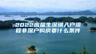 2022应届生深圳入户流程非深户购房要什么条件