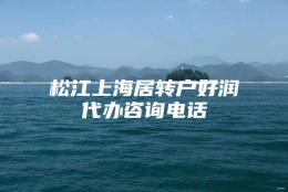 松江上海居转户好润代办咨询电话