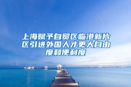 上海赋予自贸区临港新片区引进外国人才更大自由度和便利度