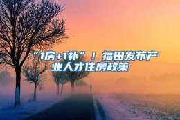 “1房+1补”！福田发布产业人才住房政策