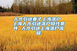 人才引进妻子上海落户 上海人才引进落户隐性条件 人才引进上海落户流程