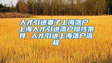 人才引进妻子上海落户 上海人才引进落户隐性条件 人才引进上海落户流程