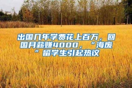 出国几年学费花上百万，回国月薪赚4000，“海废”留学生引起热议