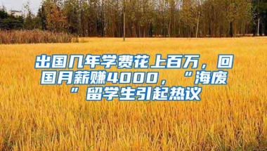 出国几年学费花上百万，回国月薪赚4000，“海废”留学生引起热议