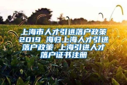 上海市人才引进落户政策2019 海归上海人才引进落户政策 上海引进人才落户证书注册