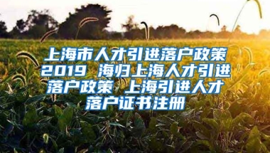 上海市人才引进落户政策2019 海归上海人才引进落户政策 上海引进人才落户证书注册