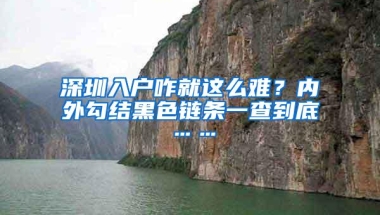 深圳入户咋就这么难？内外勾结黑色链条一查到底……