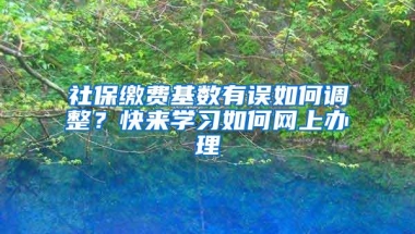 社保缴费基数有误如何调整？快来学习如何网上办理→