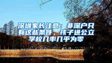 深圳家长注意：非深户只有这些条件，孩子进公立学校几率几乎为零