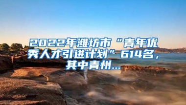 2022年潍坊市“青年优秀人才引进计划”614名，其中青州...