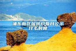 浦东新区居转户每月公示什么时候