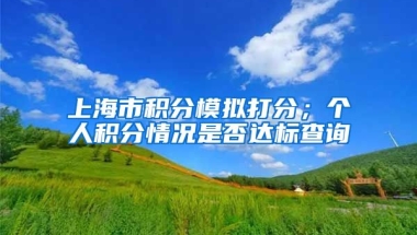 上海市积分模拟打分；个人积分情况是否达标查询