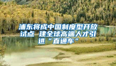 浦东将成中国制度型开放试点 建全球高端人才引进“直通车”