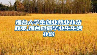 烟台大学生创业就业补贴政策,烟台应届毕业生生活补贴