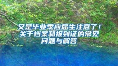 又是毕业季应届生注意了！关于档案和报到证的常见问题与解答