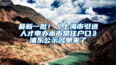 最新一批！《上海市引进人才申办本市常住户口》浦东公示名单来了