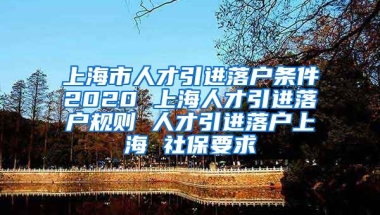 上海市人才引进落户条件2020 上海人才引进落户规则 人才引进落户上海 社保要求