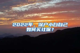 2022年，深户小白自己如何买社保？