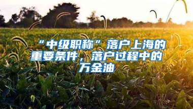 “中级职称”落户上海的重要条件，落户过程中的万金油