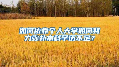 如何依靠个人大学期间努力弥补本科学历不足？