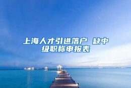 上海人才引进落户 缺中级职称申报表