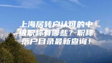 上海居转户认可的中级职称有哪些？职称落户目录最新查询！