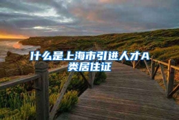 什么是上海市引进人才A类居住证