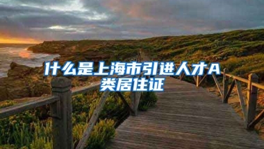 什么是上海市引进人才A类居住证