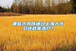 哪些人可以通过上海人才引进政策落户？