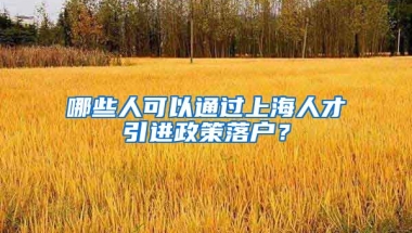 哪些人可以通过上海人才引进政策落户？