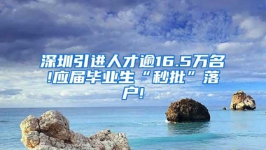 深圳引进人才逾16.5万名!应届毕业生“秒批”落户!