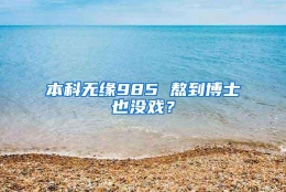 本科无缘985 熬到博士也没戏？