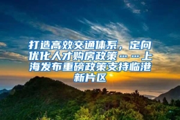 打造高效交通体系，定向优化人才购房政策……上海发布重磅政策支持临港新片区