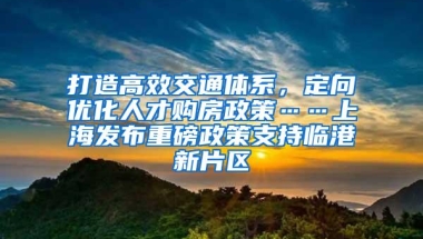 打造高效交通体系，定向优化人才购房政策……上海发布重磅政策支持临港新片区