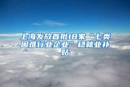 上海发放首批18家“七类困难行业企业”稳就业补贴