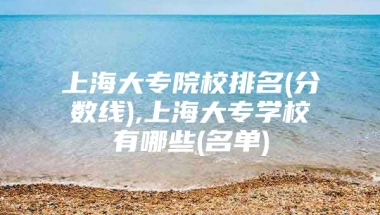 上海大专院校排名(分数线),上海大专学校有哪些(名单)