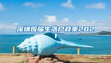 深圳应届生落户政策2021