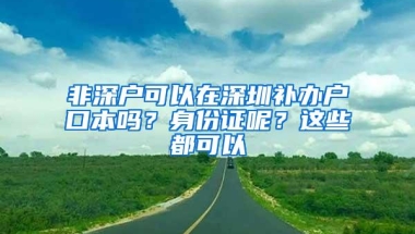 非深户可以在深圳补办户口本吗？身份证呢？这些都可以