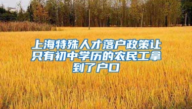 上海特殊人才落户政策让只有初中学历的农民工拿到了户口