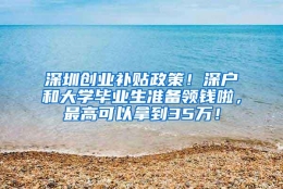 深圳创业补贴政策！深户和大学毕业生准备领钱啦，最高可以拿到35万！