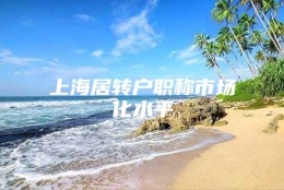 上海居转户职称市场化水平