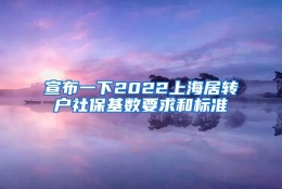 宣布一下2022上海居转户社保基数要求和标准