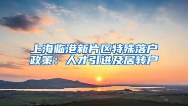 上海临港新片区特殊落户政策：人才引进及居转户